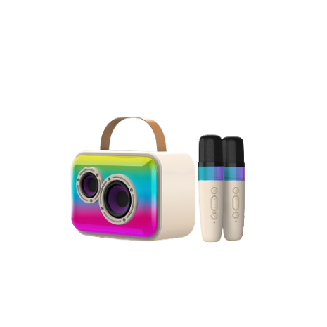 Orashare BS13 Wireless Karaoke Speaker With Dual MIC 4000mAh 20W Bluetooth Speaker With RGB Light