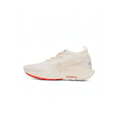 Nike 2024 Women's W PEGASUS TRAIL 5 GTX Low-Top Running Shoes FQ0912-100