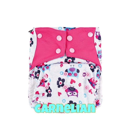 Booldeet Biggie Flex Cloth Diaper (Ideal for Toddlers 1-5 years old) D10