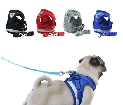Chinee Cat & Dog Vest Reflective Lead Leash Collar for Puppy and Kitten