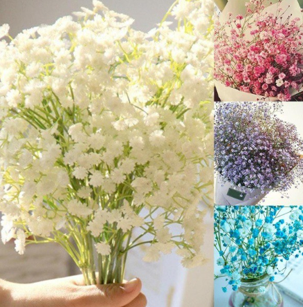 Mini Flower Petal Gypsophila Seed Romantic Flores Sky Starry Seed Bonsai Potted Plant 100 Pcs/Bag