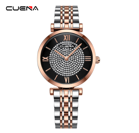 CUENA Women Watches Original Brand Fashion Stainless Steel Luxury Small Dial Casual Business Sports Quartz Waterproof 6066 W3