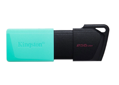 Kingston DataTraveler Exodia M 256GB USB 3.2 Gen 1 Flash Drive