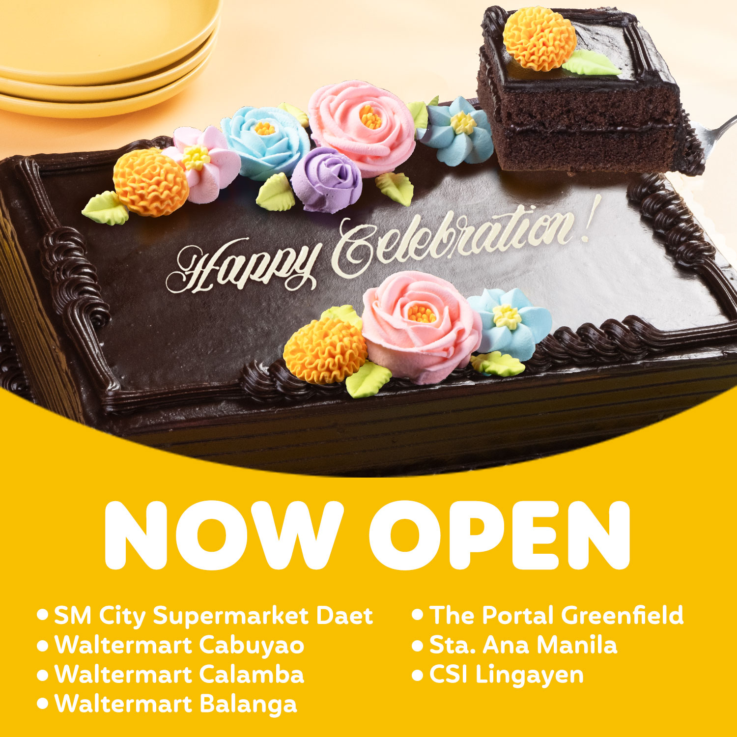 CHOCO CHIFFON 8X12 - FLOWER