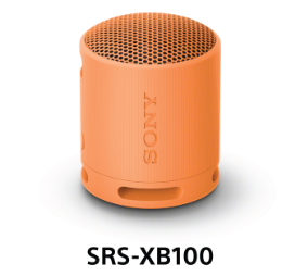 Sony SRS-XB100 Portable Bluetooth Speaker