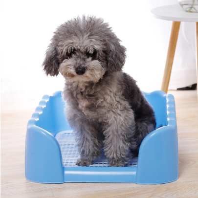 Pet Toilet Pet Shop Dog Training Potty Pad With Stand Included