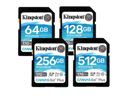 Kingston Canvas Go Plus 64GB/128GB/256GB/512GB SD Memory Card for DSLRs and Mirrorless Camera