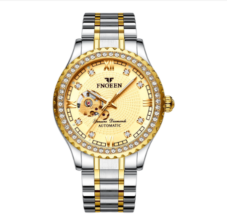 FNGEEN 8073 Men's Automatic Mechanical Watch SILVER GOLD