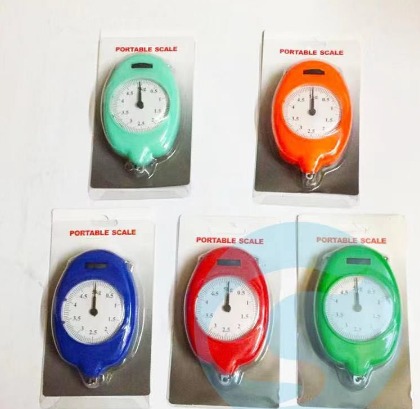 5kg Luggage Weight Scale Portable Hanging Fishing Hook Pocket Scale