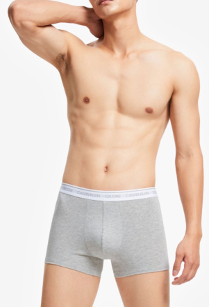 Calvin Klein Underwear Trunk Grey