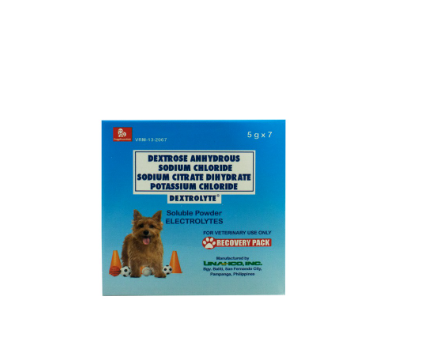 Dextrolyte Soluble Powder 5g/7 Sachet per Box