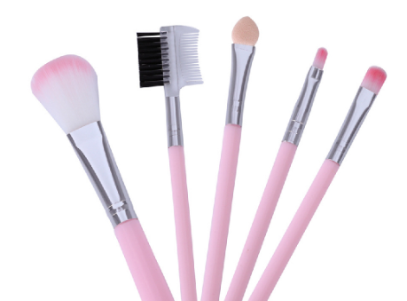 Lameila 5 Full Set Makeup Brush for Beginner