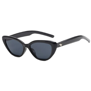 Lovito Women Casual Plain Metal Sunglasses LFA01095 (Black)