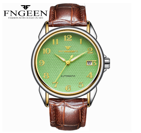 FNGEEN 6608 Men's Automatic Mechanical Watch SILVER GOLD GREEN