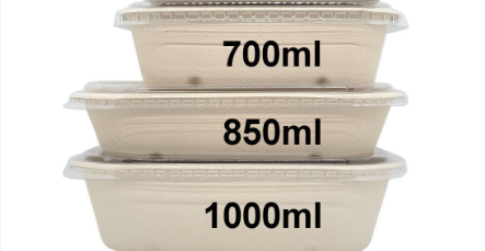 Delish Treats Organic Bagasse Oval Takeout Container with Clear Plastic Lid - Pack of 10pcs