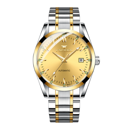 FNGEEN 6612-1 Men's Automatic Mechanical Watch SILVER GOLD