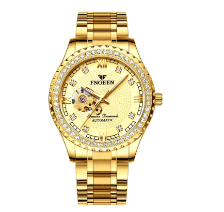 FNGEEN 8073 Men's Automatic Mechanical Watch ALL GOLD