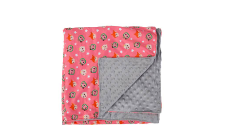 Cocomelon Mink Blanket