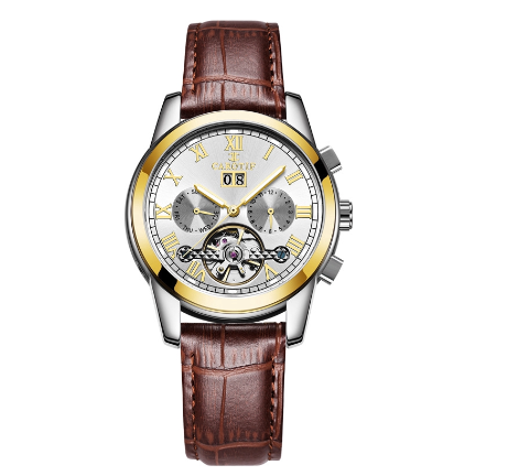 CAROTIF Automatic Tourbillon Watch for Men - Gold Skeleton Luxury Stainless Steel Calendar F6002C 4