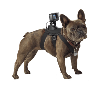 GoPro Fetch Dog Harness