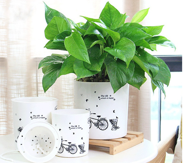 Succulent Flower pot Cute Flower Pot for Indoor Plant Home Garden and Desk Decor