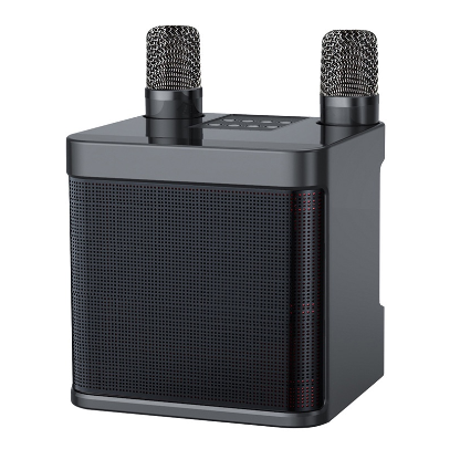 Wireless Bluetooth Dual Microphone Karaoke Speaker 3D Stereo Amplifier With Stand Bluetooth Speakers
