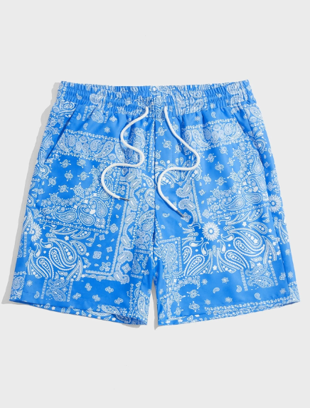 Manfinity Chillmode Men Paisley Print Drawstring Waist Shorts