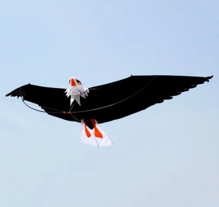 3D Eagle-Kite Kids Toy Fun Outdoor Flying Activity Game Children Funny Kids Outdoor Toys Big Kids
