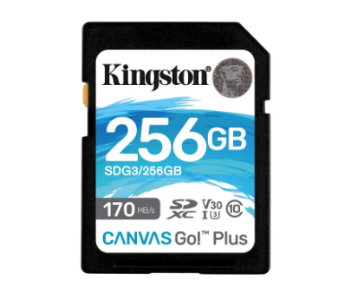 Kingston Canvas Go Plus 256GB SD Memory Card for DSLRs, mirrorless cameras (SDG3/256GB)