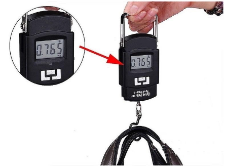 50kg/10g Portable Electronic Hanging Weighing Scale WH-A08